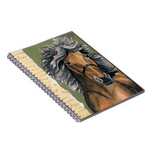 Silver Bay Icelandic