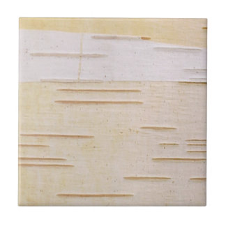 Silver Birch Bark Tile