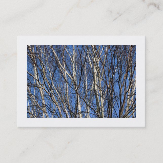 Silver Birch Branches (Bordered) Business Card (Front)