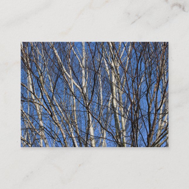 Silver Birch Branches Business Card (Front)