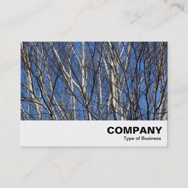 Silver Birch Branches Business Card (Front)