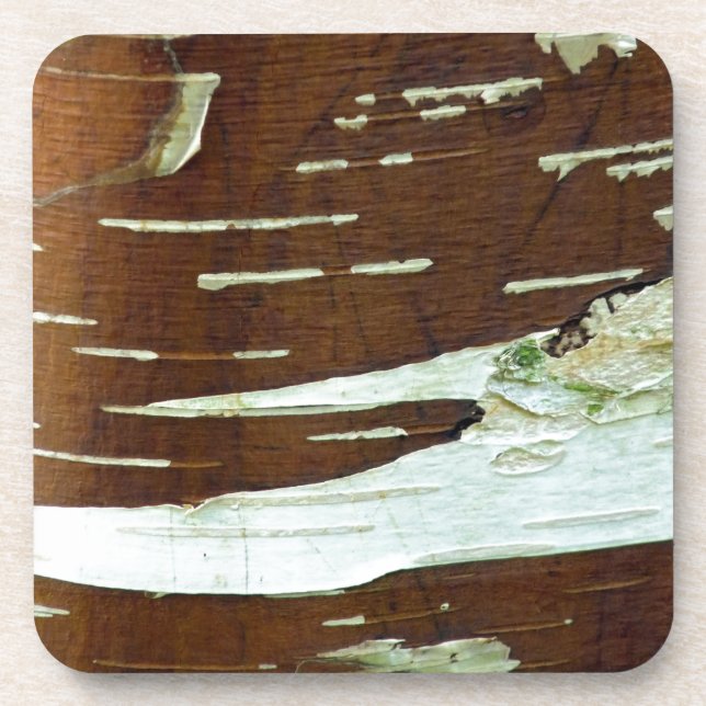 Silver Birch Natural Tree Bark Coaster (Front)