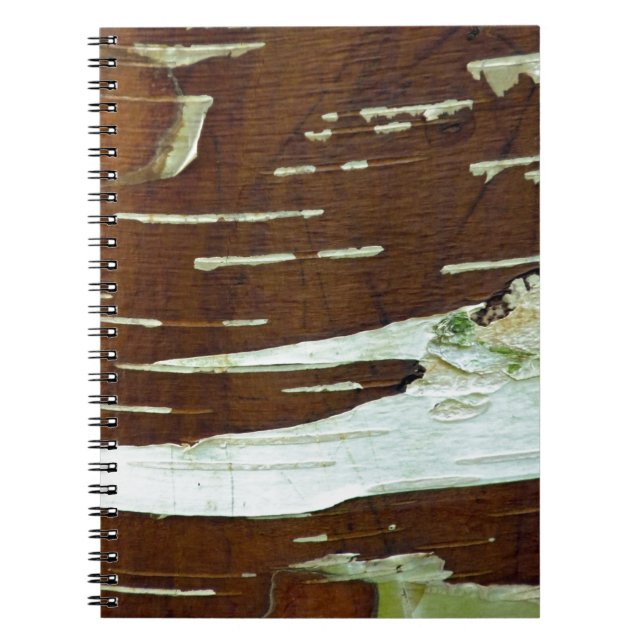 Silver Birch Natural Tree Bark Notebook (Front)