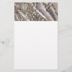 Silver Birch Stationery