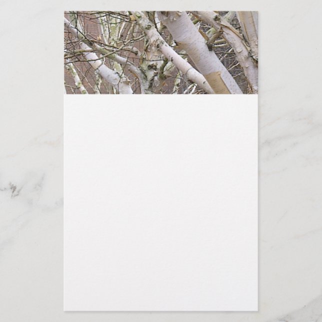 Silver Birch Stationery (Front)