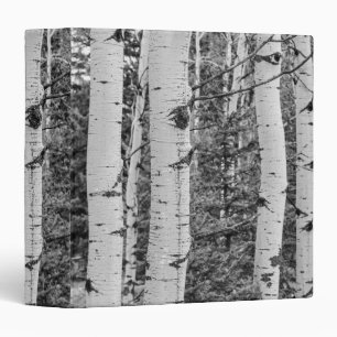 Silver Birch Tree Trunk Black and White Design Binder