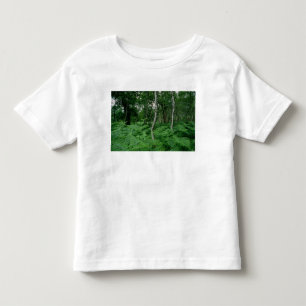 Silver birch trees and ferns, Sherwood Forest Toddler T-shirt