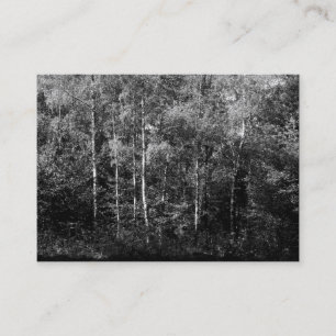 Silver Birch Trees B&W, Mini Photo Business Card