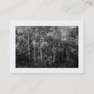 Silver Birch Trees B&W, Mini Photo Business Card