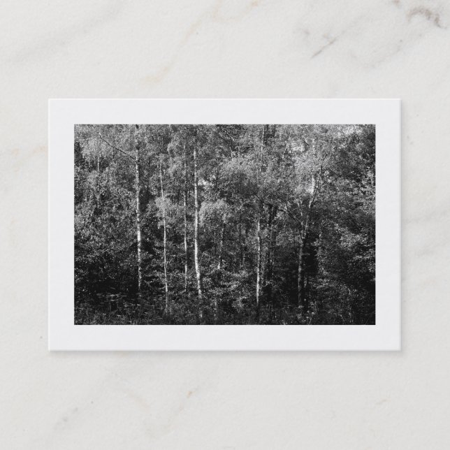 Silver Birch Trees B&W, Mini Photo Business Card (Front)