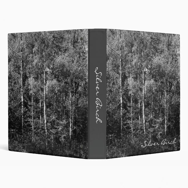 Silver Birch Trees Binder (Background)