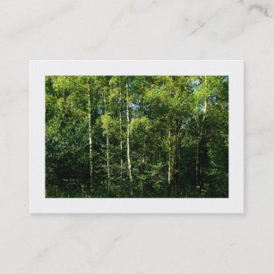 Silver Birch Trees, Mini Photo Business Card