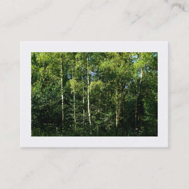 Silver Birch Trees, Mini Photo Business Card (Front)