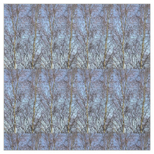 Silver Birches Fabric