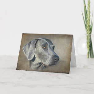 Silver Blue Weimaraner Portrait Card