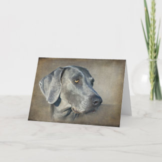 Silver Blue Weimaraner Portrait Card