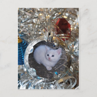 Silver Bulb Full Frame Postcard