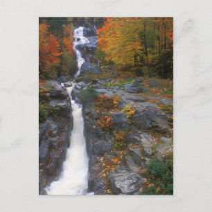 Silver Cascade Autumn Postcard