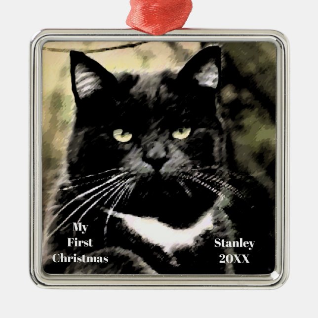 Silver Cat My First Christmas Photo Ornaments (Front)