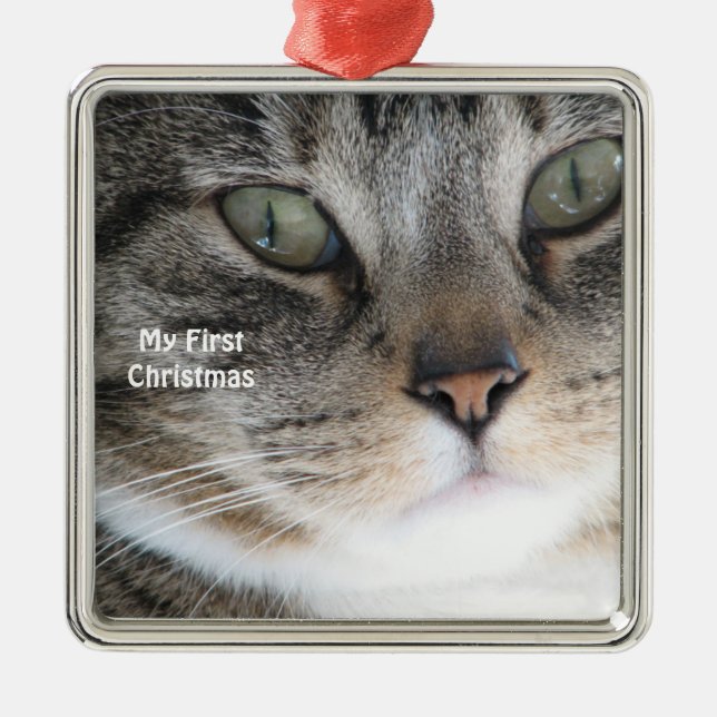 Silver Cat My First Christmas Photo Ornaments (Front)