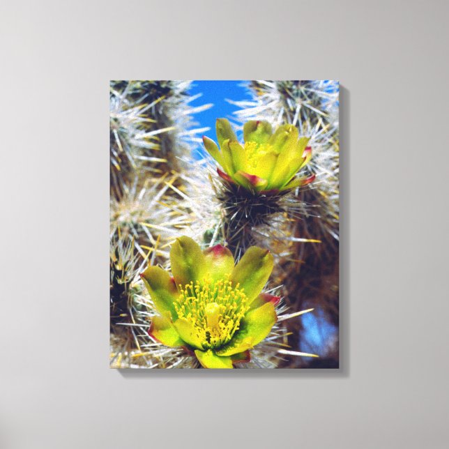 Silver Cholla Cactus Wildflowers Canvas Print (Front)