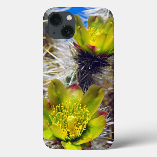 Silver Cholla Cactus Wildflowers Case-Mate iPhone Case (Back)