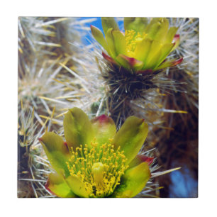 Silver Cholla Cactus Wildflowers Tile