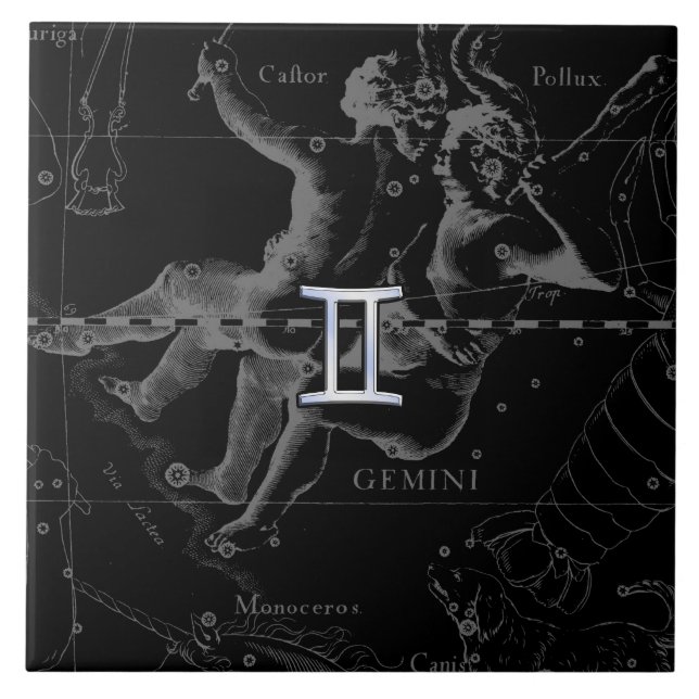 Silver Chrome like Gemini Zodiac Sign on Hevelius Tile (Front)
