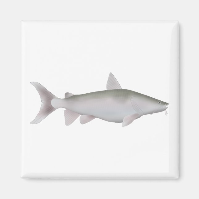 Silver Cobbler Magnet (Front)