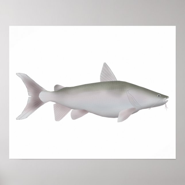 Silver Cobbler Poster (Front)