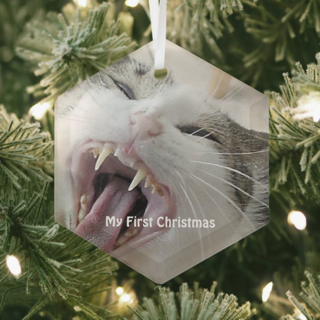 Silver Crazy Cat My First Christmas Photo Glass Ornament (Insitu)