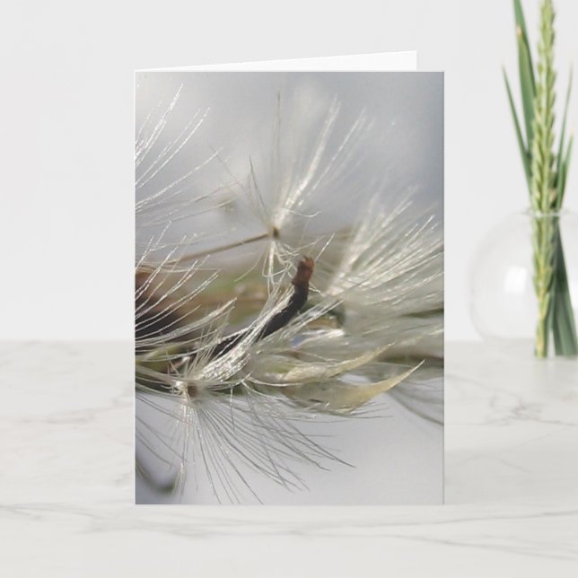Silver Dandelion Poof Shimmers in Sun Card (Front)
