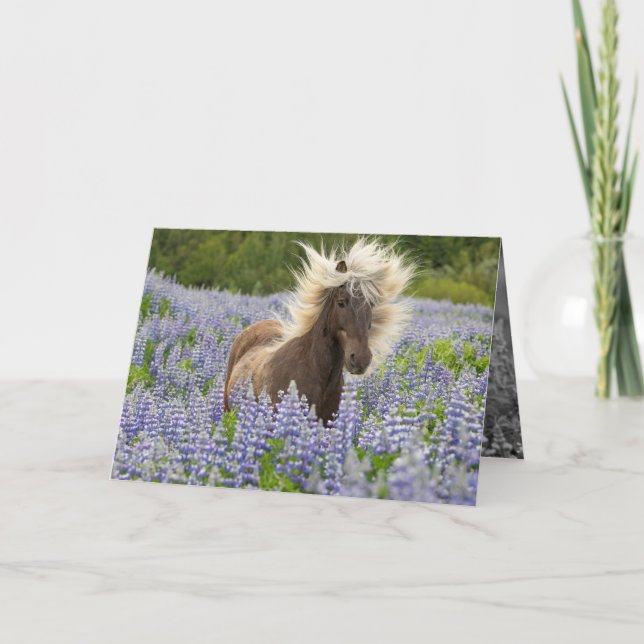 Silver Dapple in the Lupine Horse Greeting Card (Front)