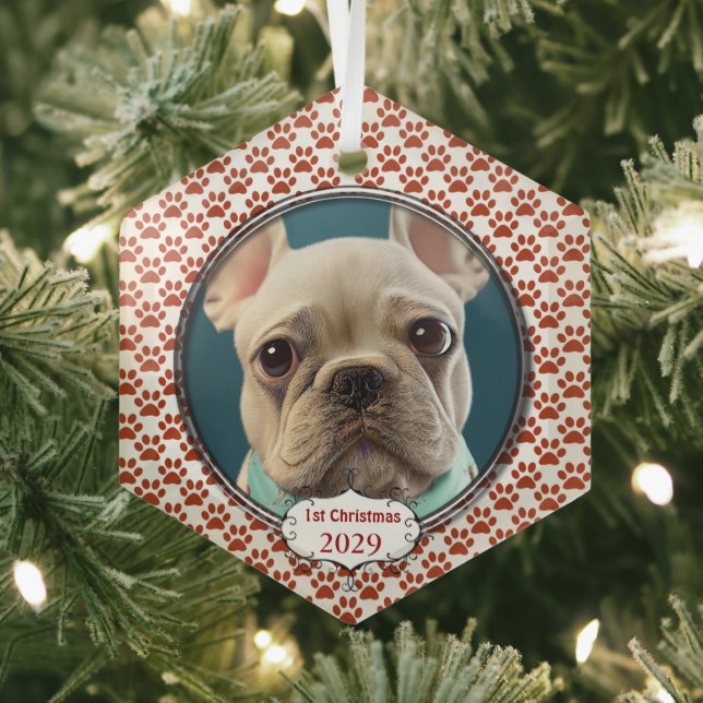 Silver Dog Paws My First Christmas Photo Ornaments (Insitu)