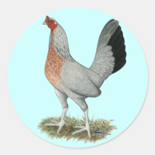 Silver Duckwing Game Hen Classic Round Sticker