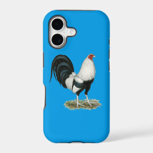 Silver Duckwing Gamecock