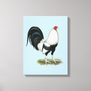 Silver Duckwing Gamecock Canvas Print