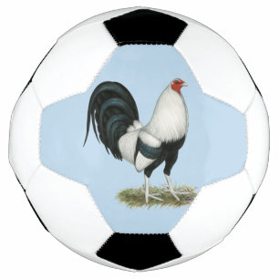 Silver Duckwing Gamecock Soccer Ball