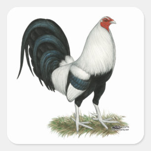 Silver Duckwing Gamecock Square Sticker