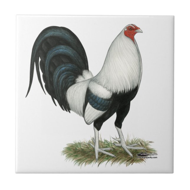 Silver Duckwing Gamecock Tile (Front)