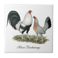 Silver Duckwing Gamefowl