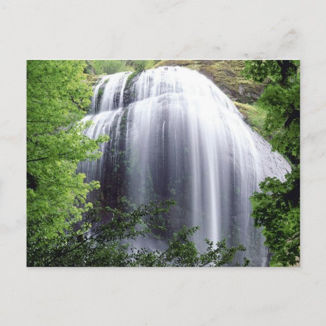 Silver Falls, Oregon Postcard (Front)