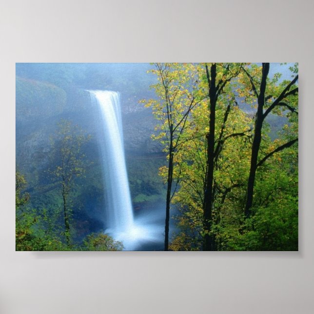 Silver Falls State Park, Oregon Poster (Front)