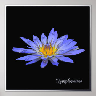 Silver Foil Accent Blue Water Lily Print Poster