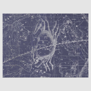 Silver Galaxy Star Map Series Design 10 Tissue Paper