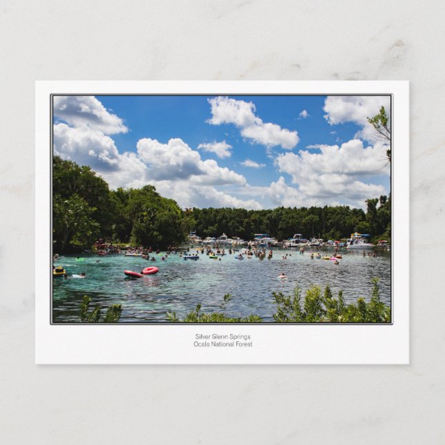 Silver Glenn Springs Postcard (Front)