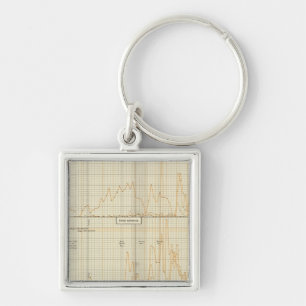 Silver, gold, minor coinage keychain