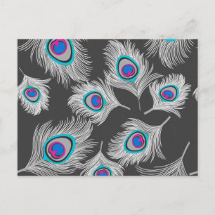 Silver Grey / Grey Peacock Feathers on Dark Grey Postcard