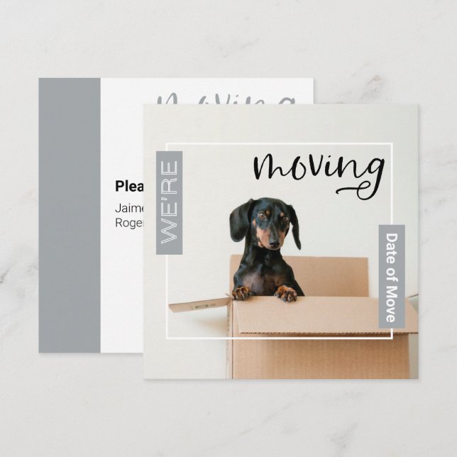 Silver Grey We're Moving Dachshund Dog in Box Card (Front/Back)