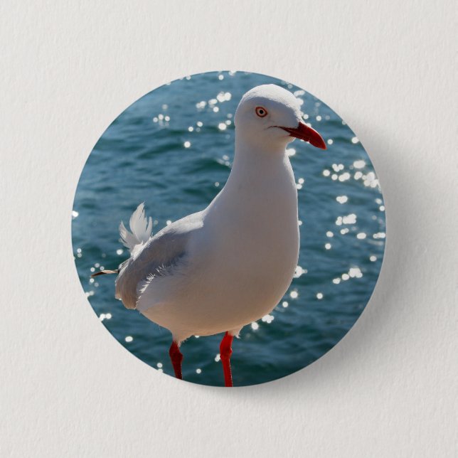 Silver Gull 2 Inch Round Button (Front)